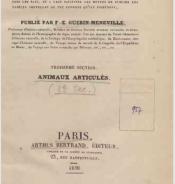 Magasin de zoologie
